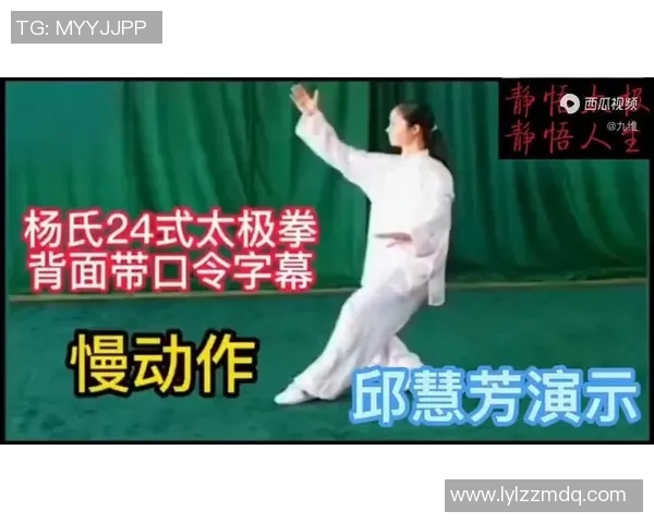 太极拳24式视频教学全解析从基础到进阶的完整指导与练习方法 太极拳24式视频教学全解析从基础到进阶的完整指导与练习方法