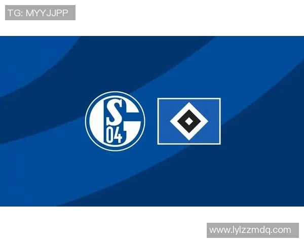 沙尔克04引援新力量，实力再添一筹