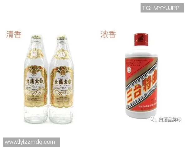 新疆伊力特遭遇连败：探讨原因与未来展望