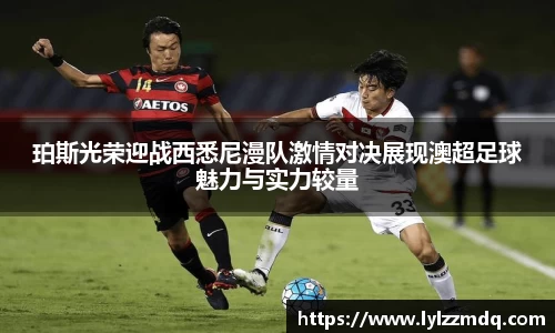 XC体育在线登录